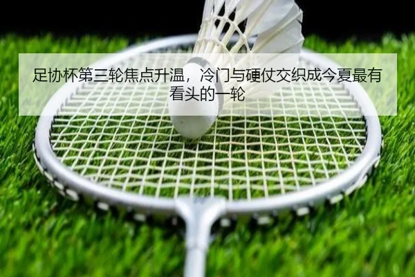 img_1781341885585_36_2_299.jpg